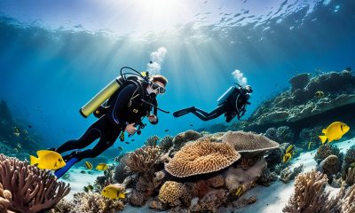 dive trip caribbean islands