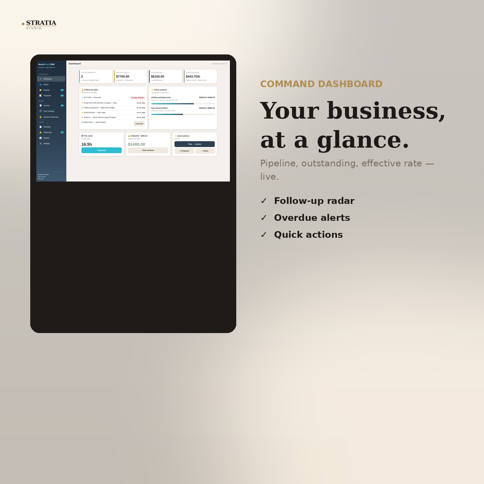 Freelancer Client CRM Pro - Image 6